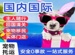 乌鲁木齐地窝堡航空快运国际宠物托运 【国